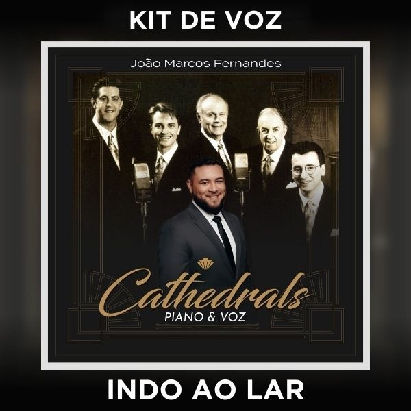 INDO AO LAR