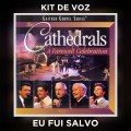 EU FUI SALVO