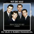 EU VEJO O RUBRO MANANCIAL