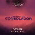 FOI NA CRUZ - PLAYBACK