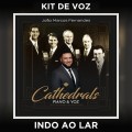 INDO AO LAR