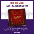 MARCELO MEIRELES - NUNCA DESANIMES