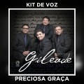 PRECIOSA GRAÇA - KIT DE VOZ