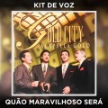 QUÃO MARAVILHOSO SERÁ