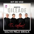 SALVO PELA GRAÇA - KIT DE VOZ