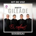 SOSSEGAI - KIT DE VOZ