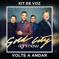 VOLTE A ANDAR